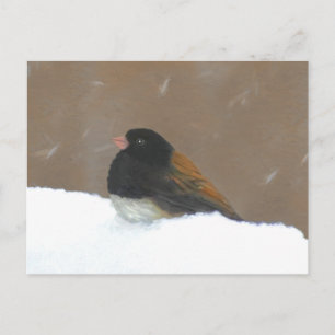 Mörk-Eyed Junco Painting - Original Bird Art Vykort