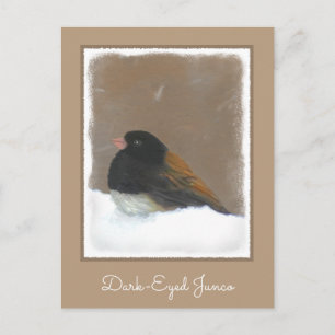 Mörk-Eyed Junco Painting - Original Bird Art Vykort