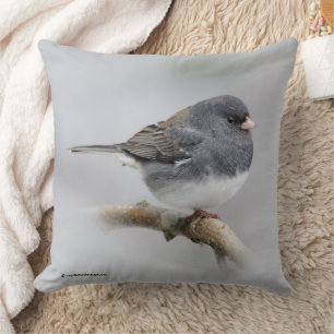 Mörk-Eyed Junco Sparrow Songbird i Träd Kudde