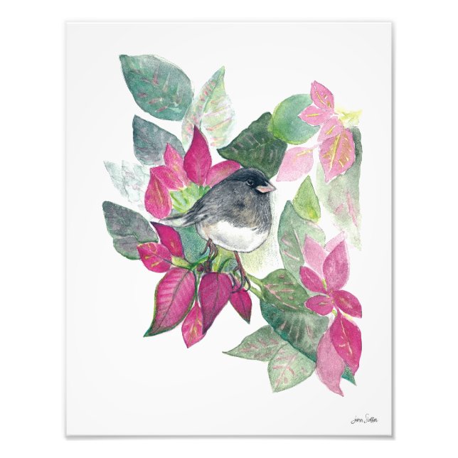 Mörk Eyed Junco Watercolor Photo Print Fototryck (Framsidan)