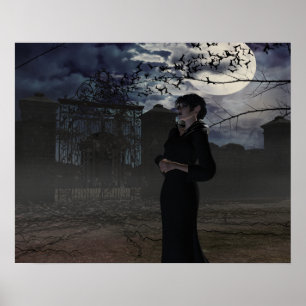 Mörk Fairy in Moonlight Poster