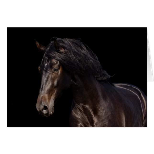 Mörk fjärd hälsningskort (Framsidan Horizontal)