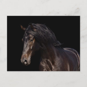 Mörk fjärd vykort