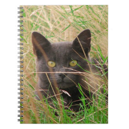 Mörk Grått Cat Peekout från Tall Grass Anteckningsbok Med Spiral