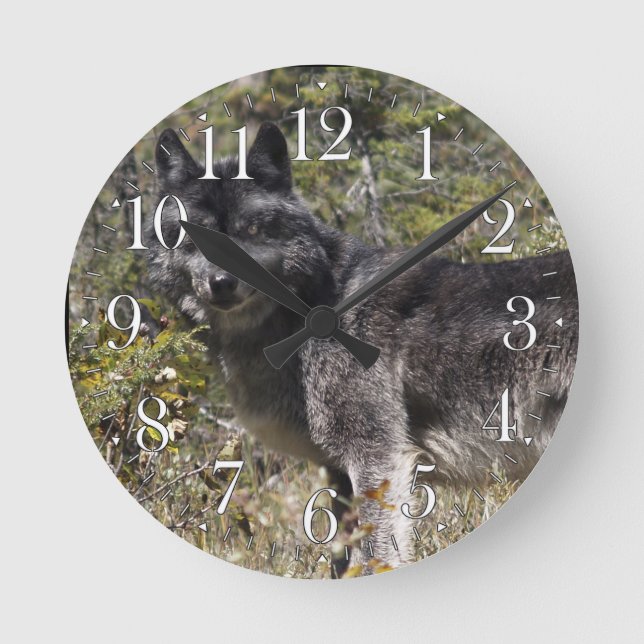 Mörk Grått Varg & Forest Pasture Photo Clock Rund Klocka (Framsida)