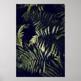 Mörk grönt Fern Löv Botanic Poster