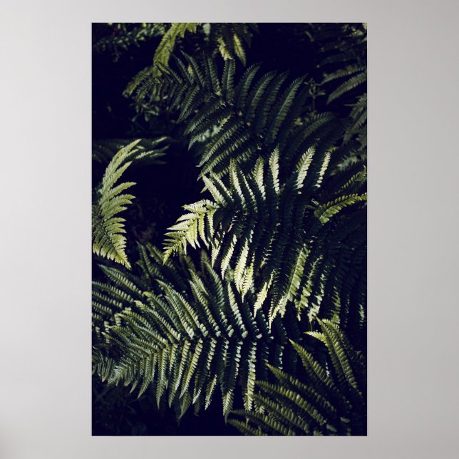 Mörk grönt Fern Löv Botanic Poster (Framsidan)