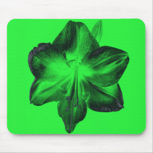 Mörk grönt om Ljust grönt Amaryllis Musmatta