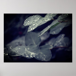 Mörk grönt Rainy Löv Poster