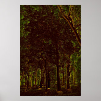Mörk grönt skog poster