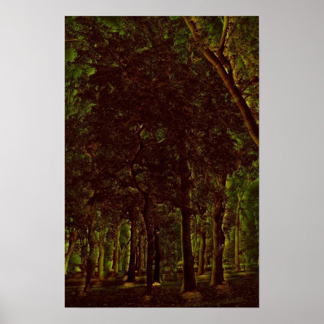 Mörk grönt skog poster (Framsidan)