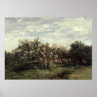 Mörk grönt utskrift av Apple Orchard Ligcape Art Poster