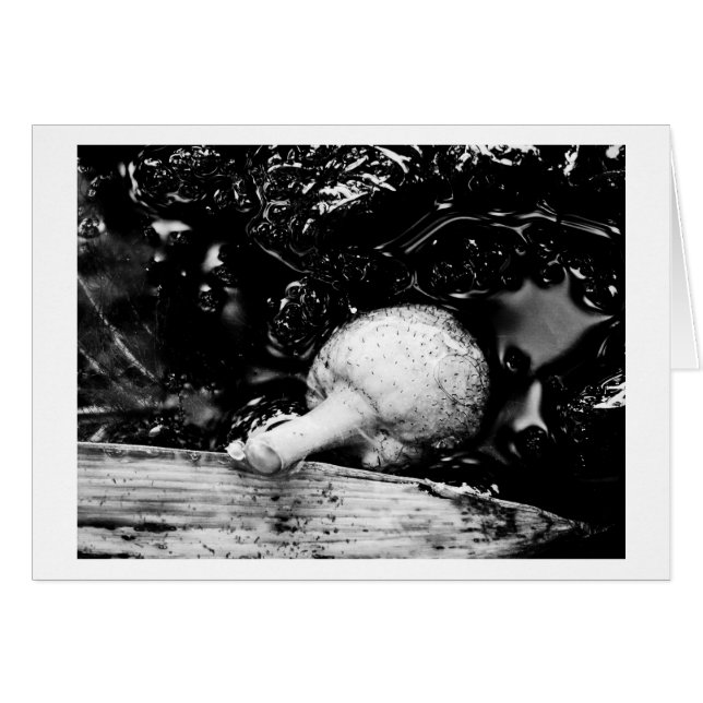 mörk hälsningskort (Framsidan Horizontal)