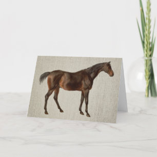 Mörk Häst Vintage Illustrerad Konst Notkort Kort