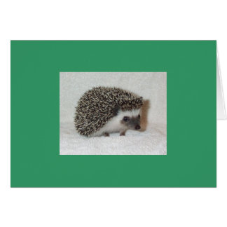 Mörk Hedgehog Card Hälsningskort