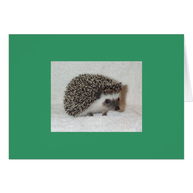 Mörk Hedgehog Card Hälsningskort (Framsidan Horizontal)