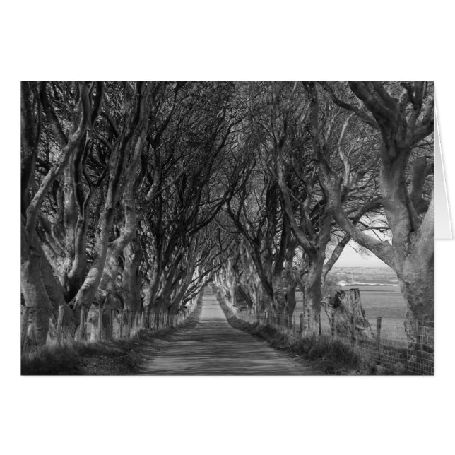 Mörk Hedges in Black and White OBS Kort (Framsidan Horizontal)