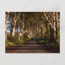 Mörk Hedges Ireland Vykort