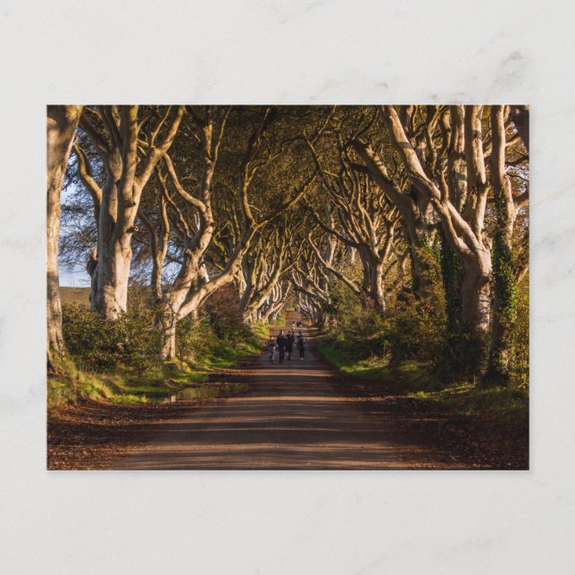 Mörk Hedges Ireland Vykort (Framsida)