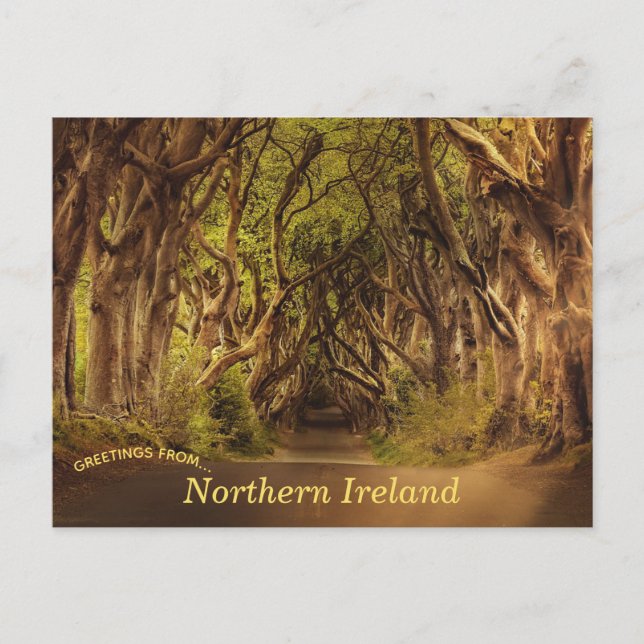 Mörk Hedges Northern Ireland Postcard Vykort (Framsida)
