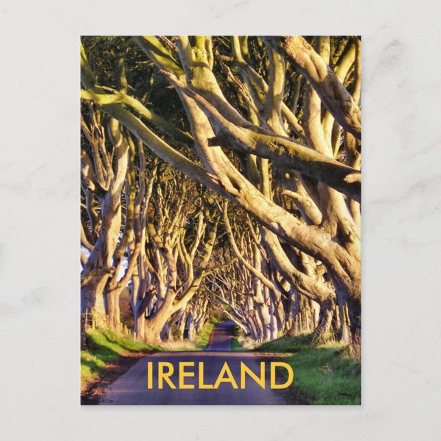 Mörk Hedges Postcard Vykort (Framsida)