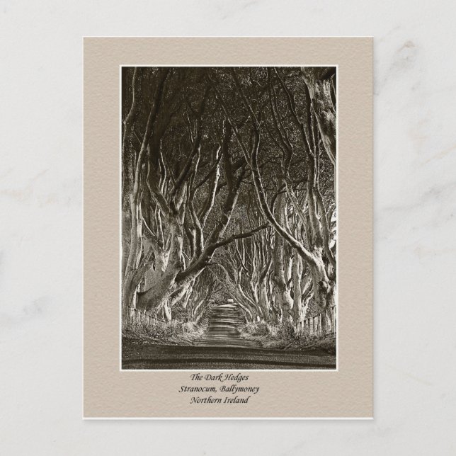 Mörk Hedges, Stranocum, Ballymoney NI vycard Vykort (Framsida)