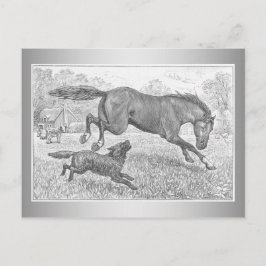Mörk Horse and Hund Vykort