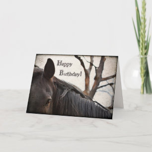 Mörk Horse Grattis på födelsedagen Hälsning Kort