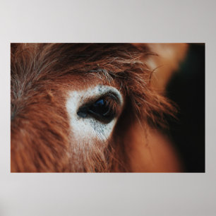 MÖRK HORSE ÖGA POSTER