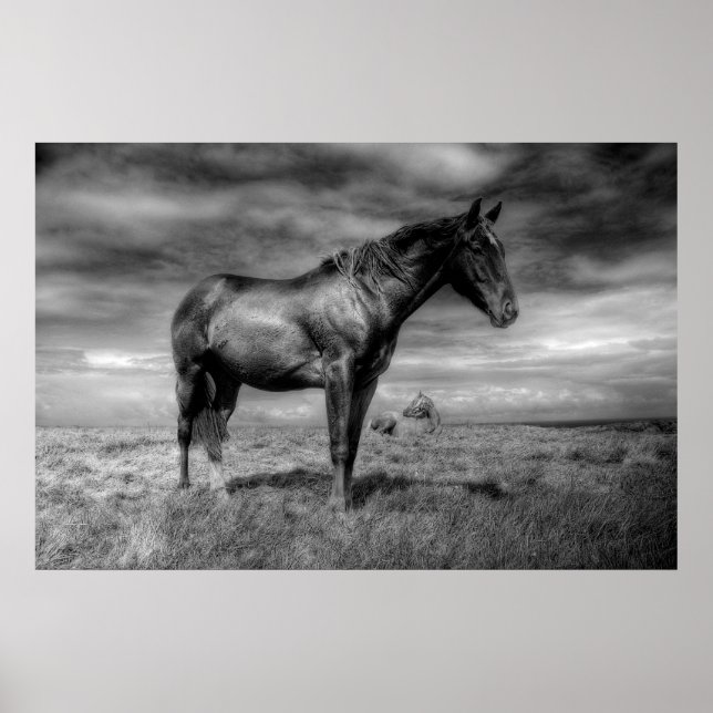 Mörk Horse Poster (Framsidan)