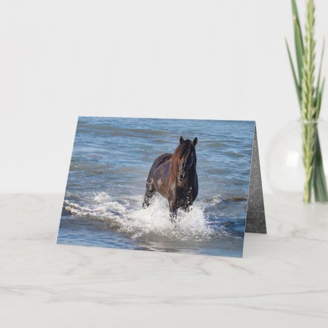 Mörk Horse Springa på hälsningskortet Vatten Kort (Framsida)