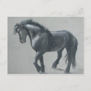 Mörk Horse Vykort