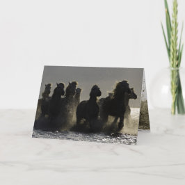 Mörk Horses III Horse Greeting Card Kort