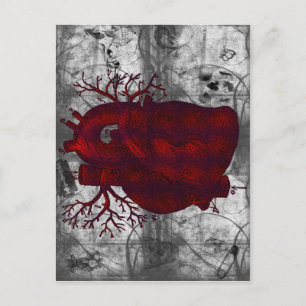 Mörk Human Heart vycard Vykort