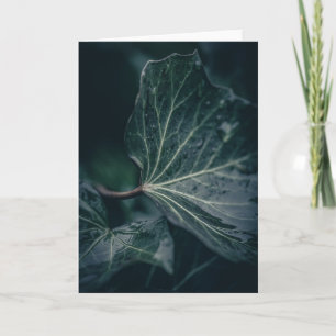 Mörk ivy Löv naturfoto Kort