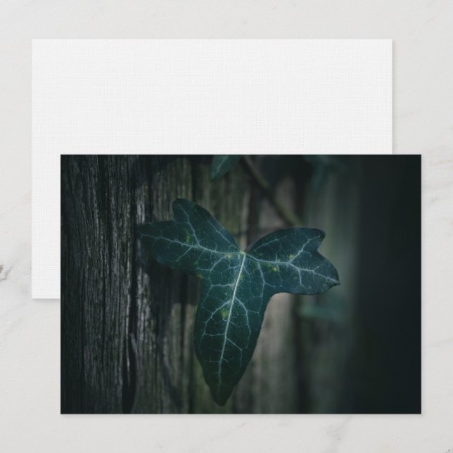 Mörk Ivy Löv-naturfotokort (Fram/baksida)