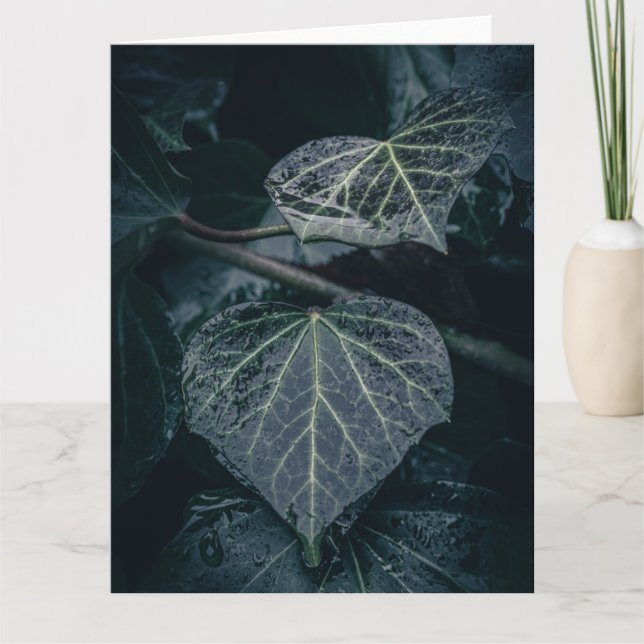 Mörk Ivy Nature Photo Kort (Framsida)