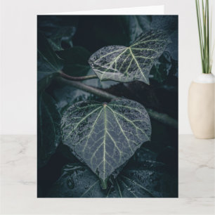 Mörk Ivy Nature Photo Kort