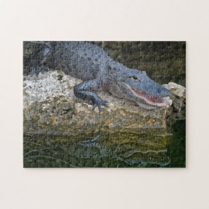 Mörk Krokodil med tydlig reflektion i Vatten Pussel