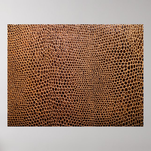 mörk, läderbakgrund poster (Framsidan)