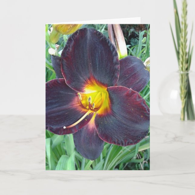 Mörk Lila Lily Blank Card Kort (Framsida)