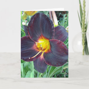 Mörk Lila Lily Blank Card Kort