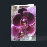 Mörk Lila Moth Orchids Kort<br><div class="desc">Två vackra,  helt öppna mörk lila Phalaenopsis,  moth orchids med Grattis på födelsedagen.  Enkel att anpassa med egen text. Alla textstorlekar stil,  färg,  kan ändras för att passa dina behov. Klicka på knappen "CUSTOMIZE IT" för att ändra texten om du behöver det och välj ditt favoritteckensnitt.</div>
