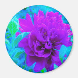 Mörk Lila Peony med Vacker Weigela-lövverk Magnet