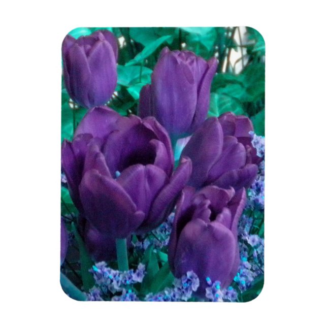Mörk Lila Tulips Fridge magnet (Vertikal)
