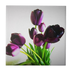 Mörk Lila Tulips Kakelplatta