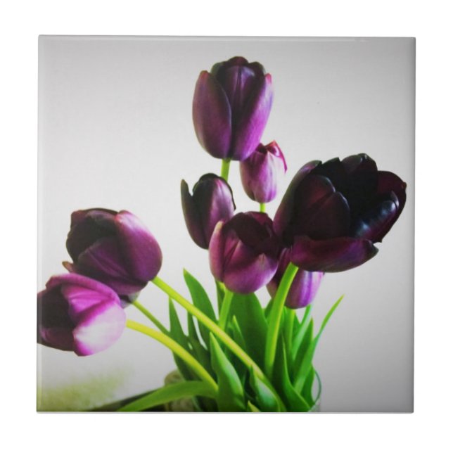 Mörk Lila Tulips Kakelplatta (Framsidan)