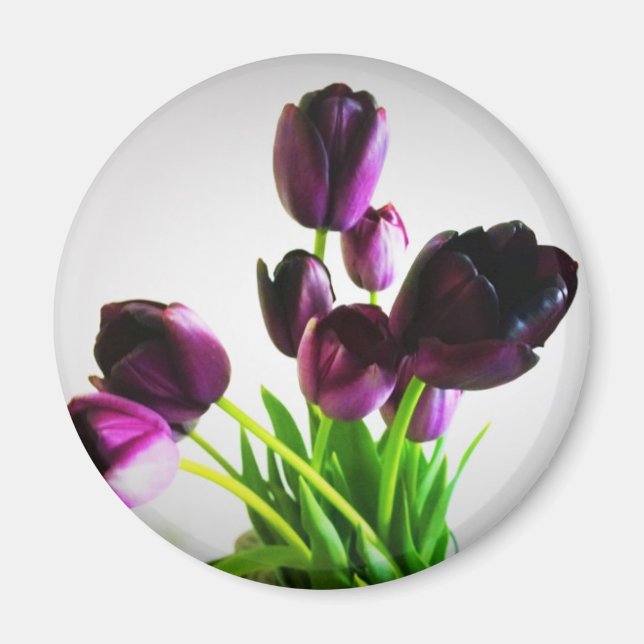 Mörk Lila Tulips Magnet (Framsidan)