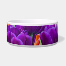 Mörk lila tulpaner på en solig dag i trädgården