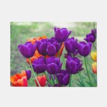 Mörk lila tulpaner på en solig dag i trädgården